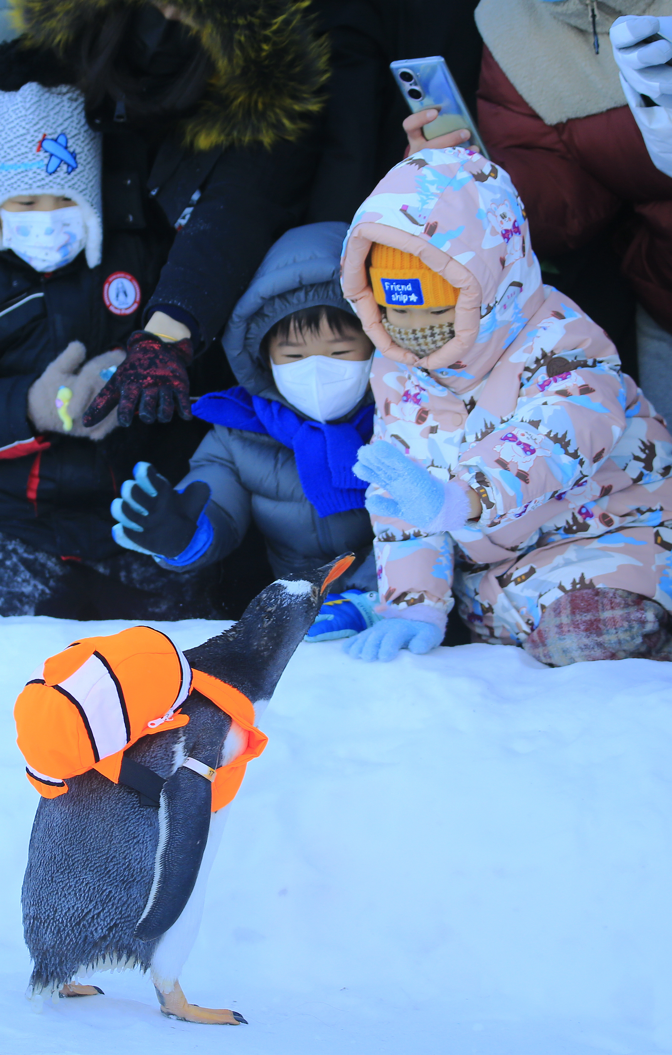 “淘学企鹅”文创荣获金奖 为尔滨旅游贡献“鹅流量”