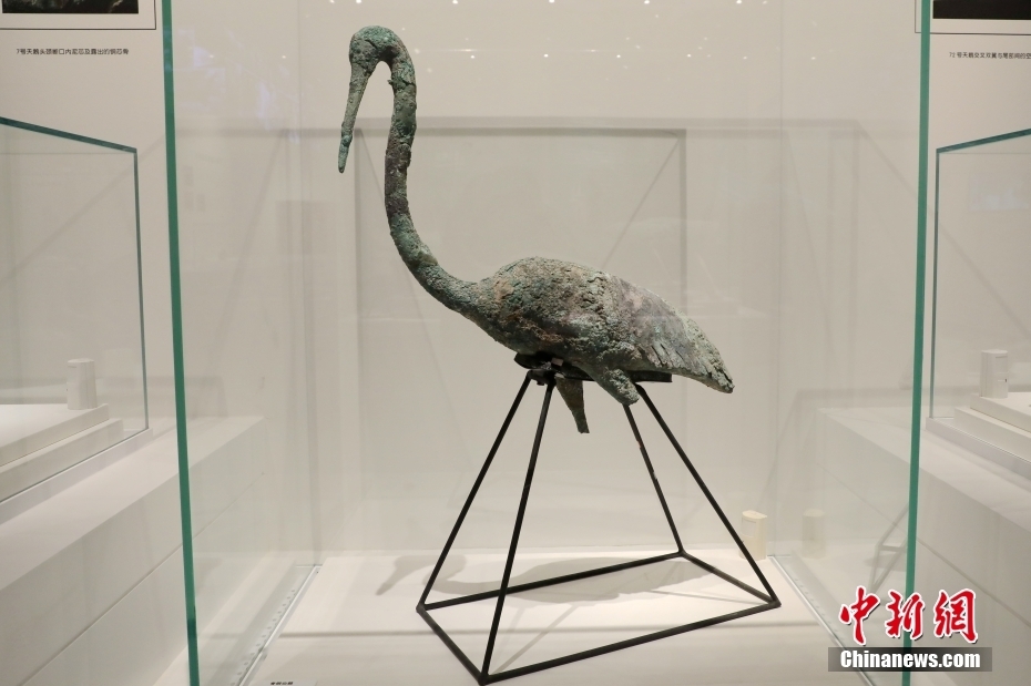 秦始皇帝陵博物院“秦陵苑囿之K0007陪葬坑”展览开幕