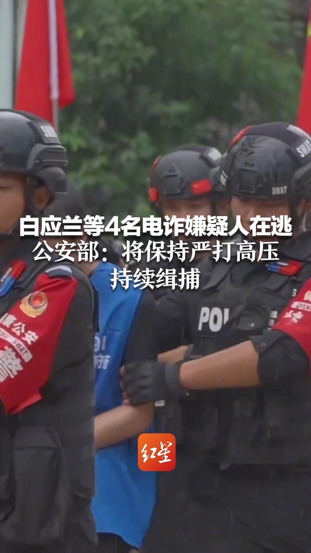 白应兰等4名电诈嫌疑人在逃 公安部：将保持严打高压 持续缉捕