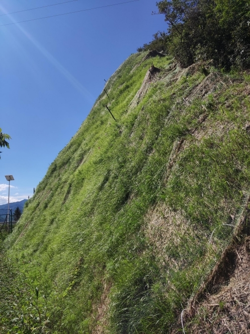 电站道路边坡植被混凝土绿化效果图 (国网新源河北丰宁抽水蓄能公司供图)