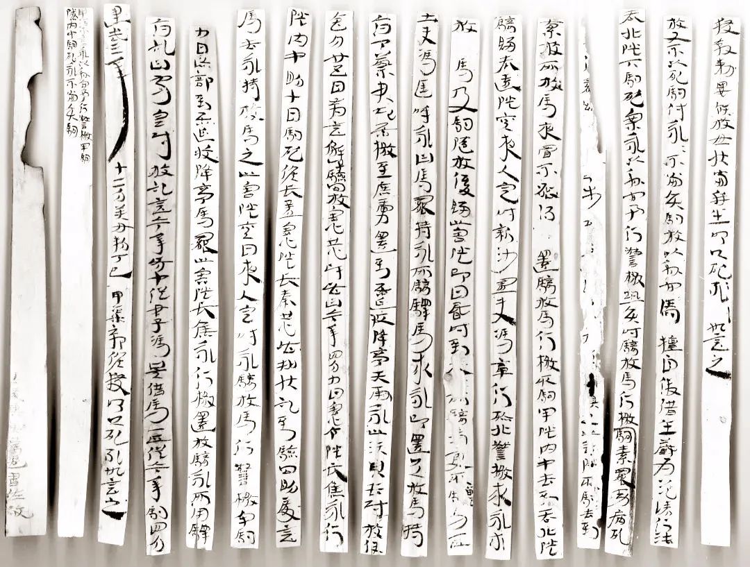 隧长焦永死驹劾状高清扫描图