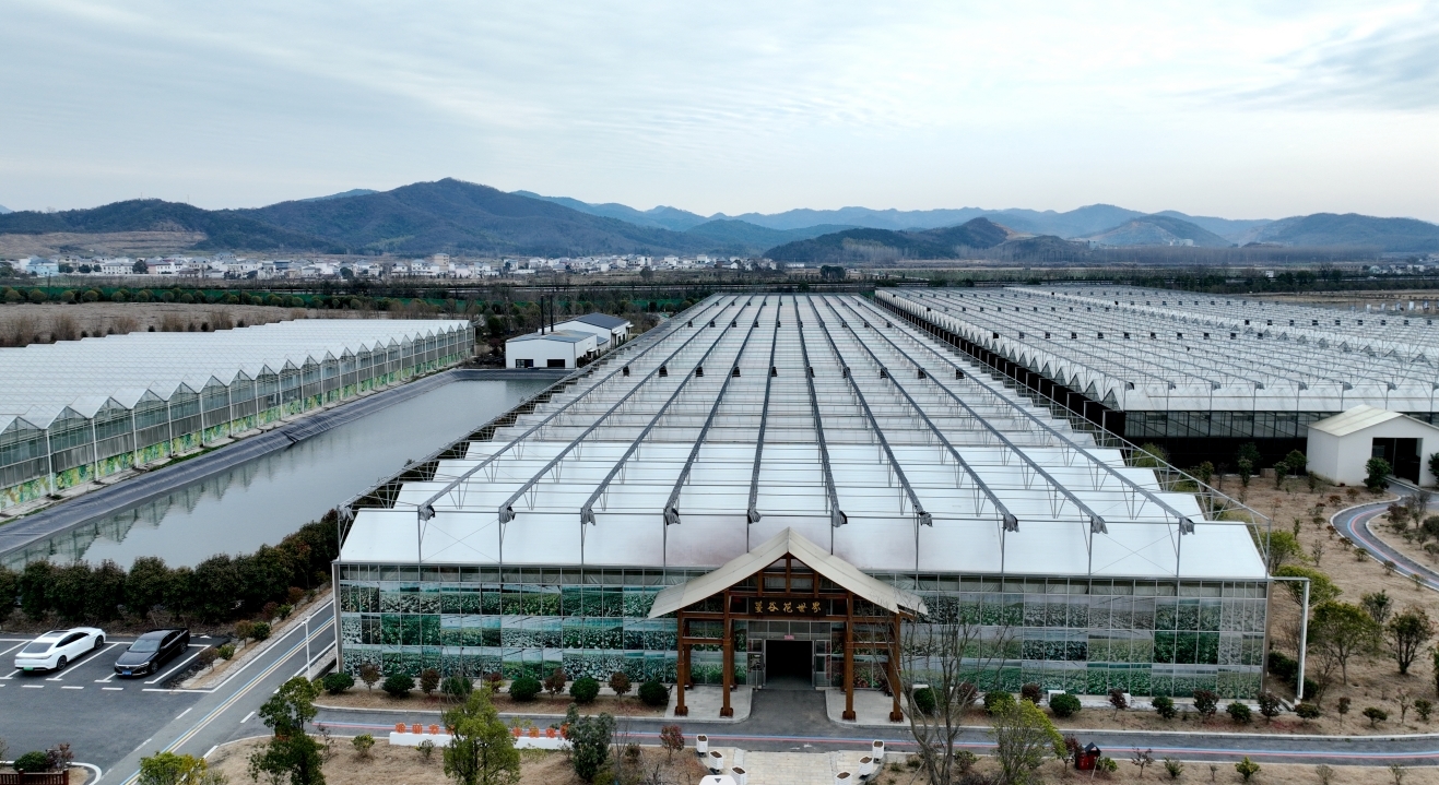 九江彭泽县:“花卉经济”产销旺