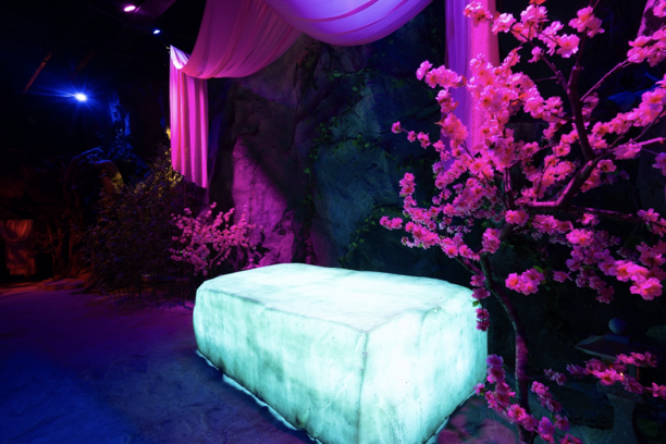 由极北苦寒的之地的寒玉制成寒冰床,威武的雕兄,白玉棋子……这不仅是