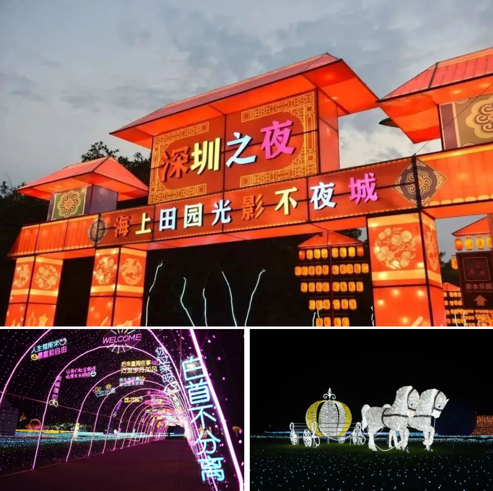 深圳的年味已被“点亮”~新春灯会赏灯指南 | 欣欣向“龙”· 过大年⑥