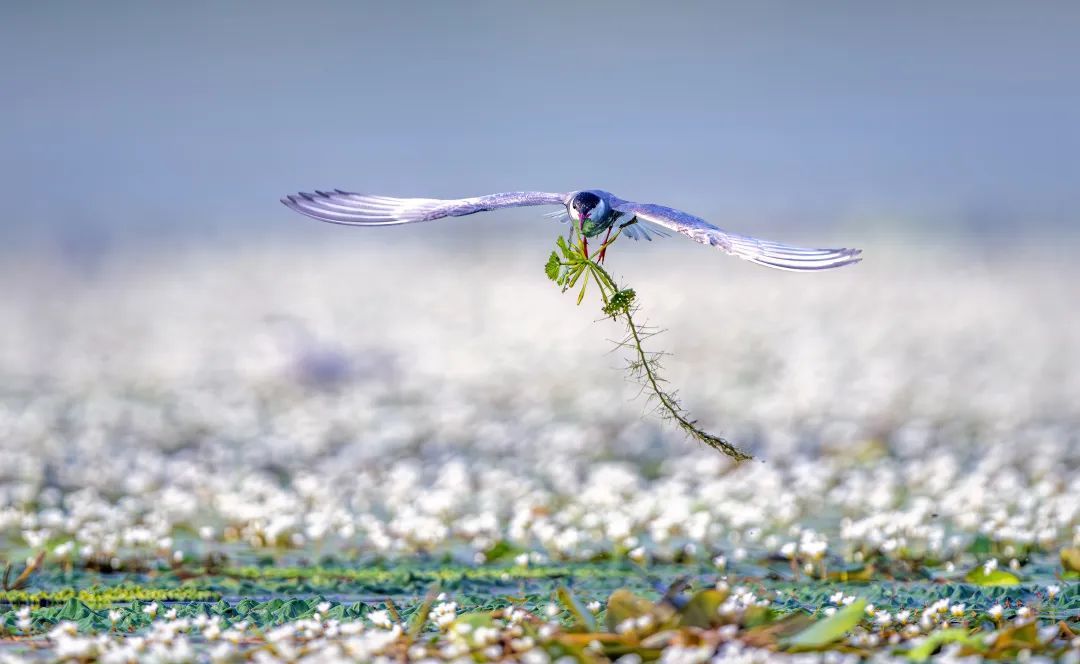 从A到Z!细数常州人对生活的热爱