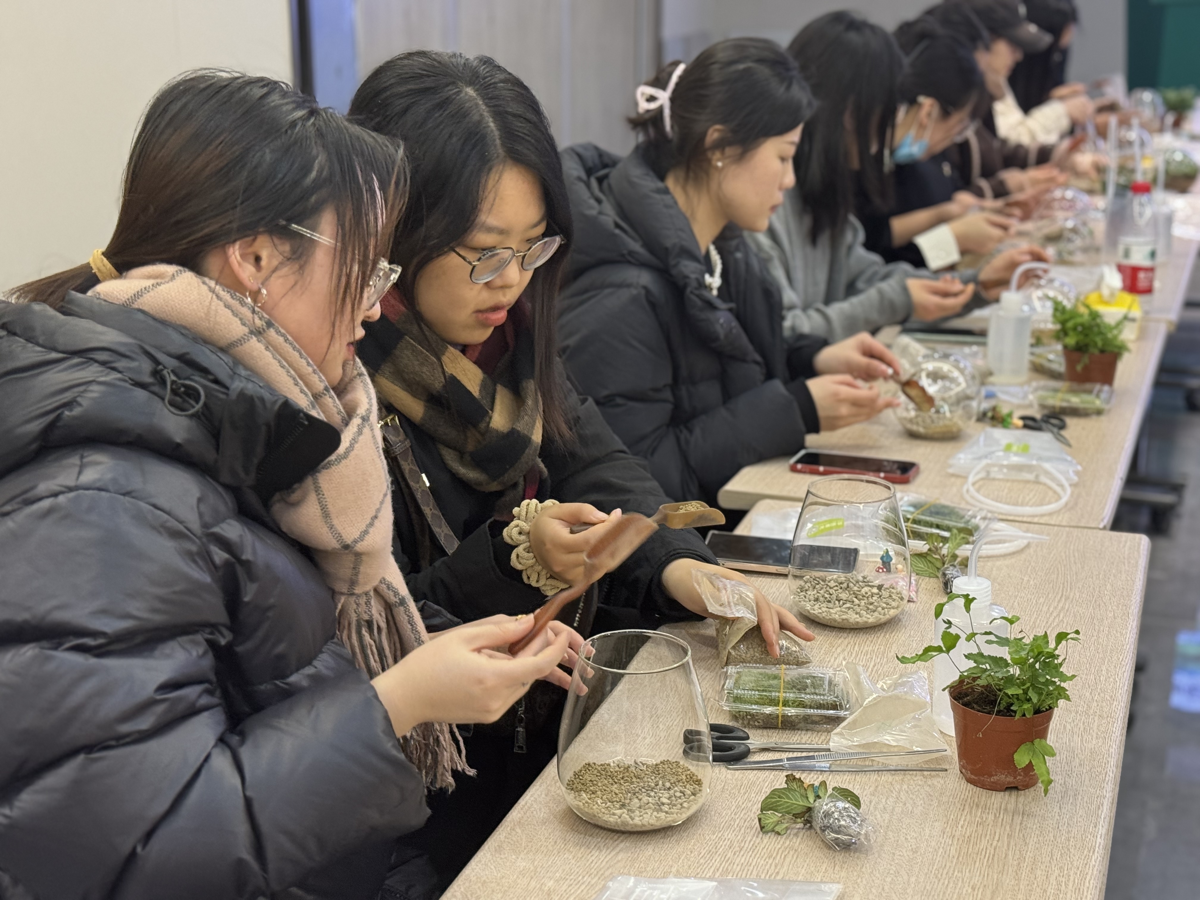 青年人动手制作微景观