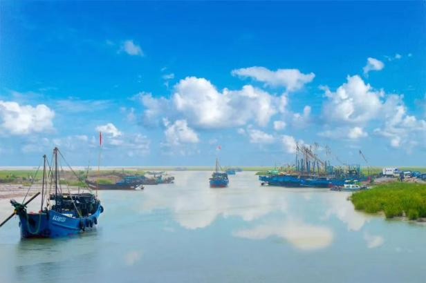 陆海联动，一村一品！江苏东台市弶港镇“百花齐放”迎新春