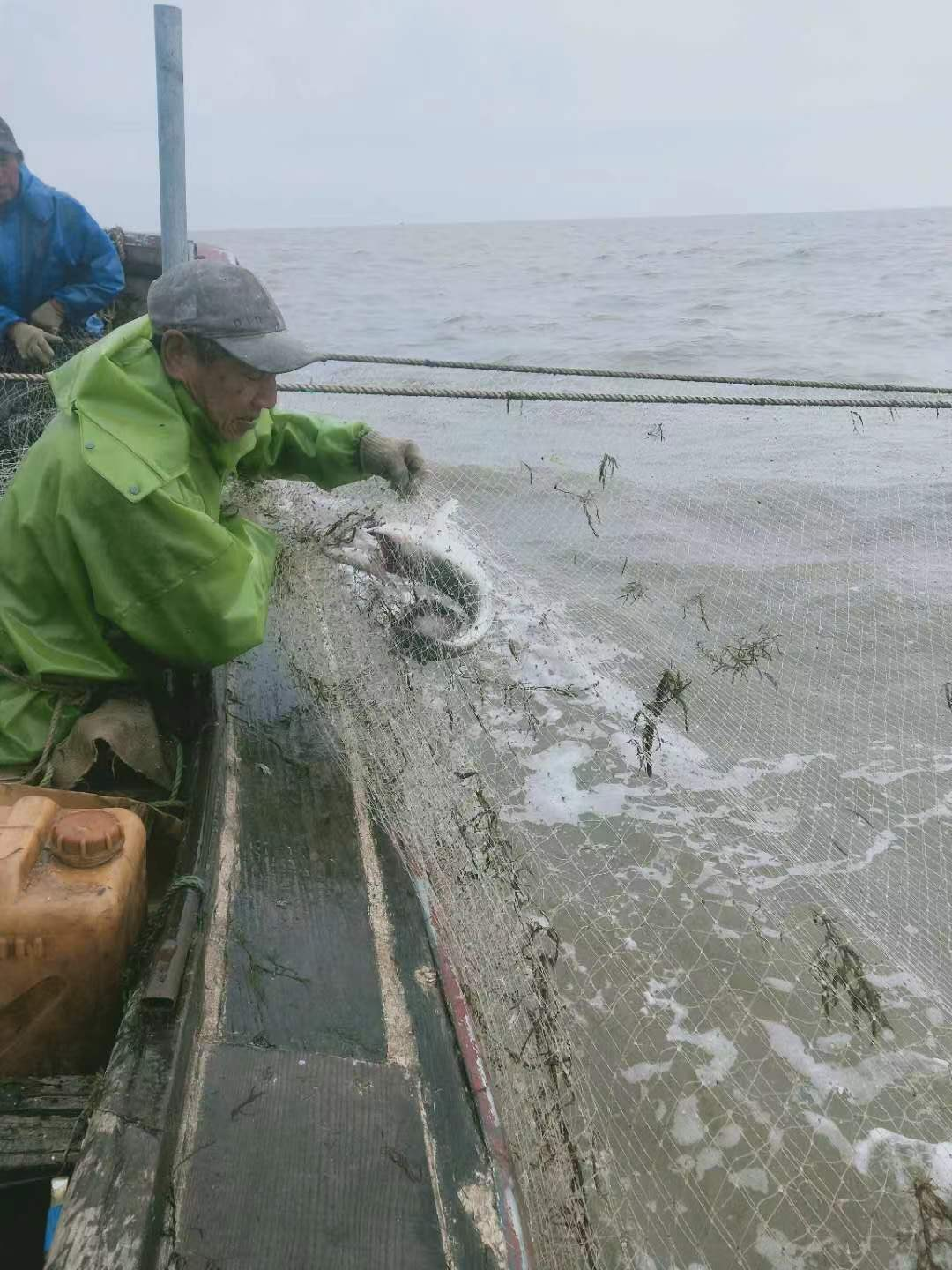 陆海联动，一村一品！江苏东台市弶港镇“百花齐放”迎新春