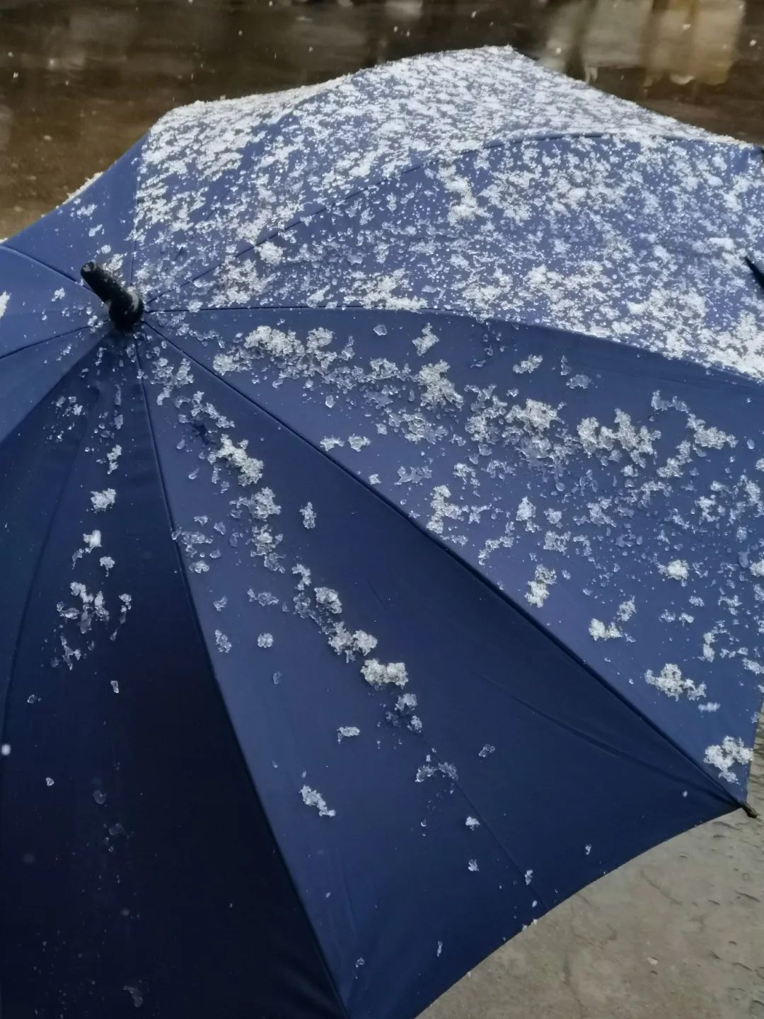 虞昌胜/摄宁波下雪啦↓↓↓请大家出行注意交通安全雨雪天气导致路面