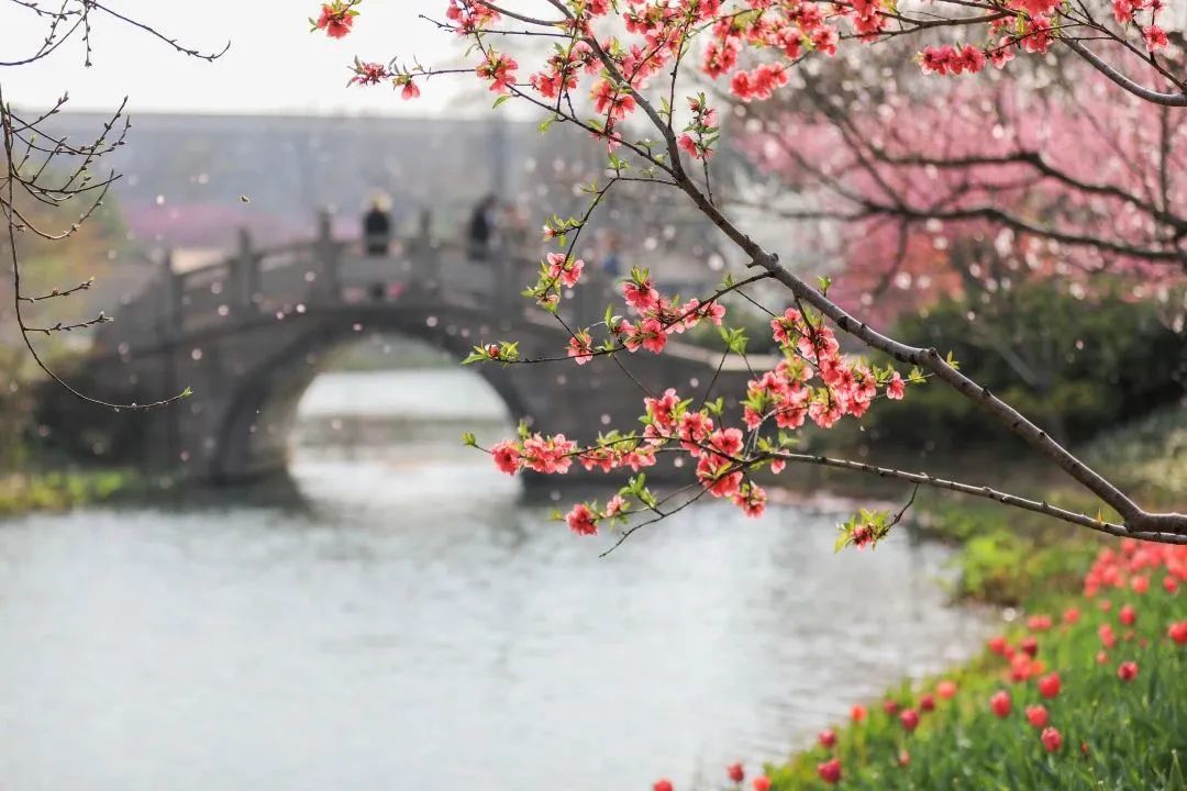 从A到Z!细数常州人对生活的热爱