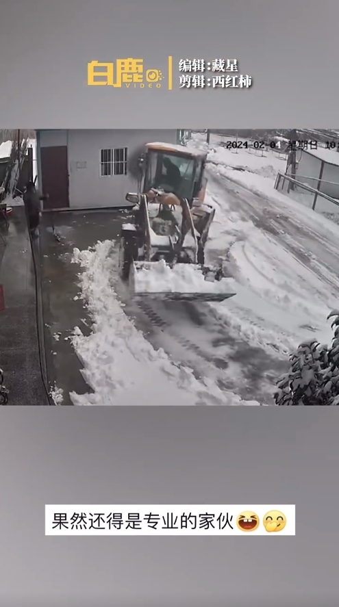 六安男子路过见老人独自清雪 神速帮铲完