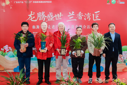 龙腾盛世,兰香湾区!翁源兰花香飘广州水上花市