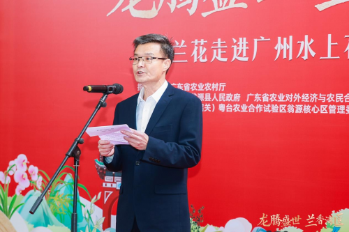 龙腾盛世,兰香湾区!翁源兰花香飘广州水上花市