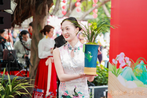 龙腾盛世,兰香湾区!翁源兰花香飘广州水上花市