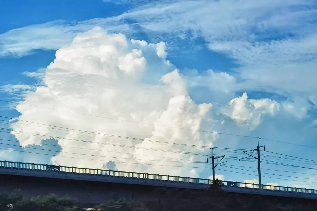 从A到Z!细数常州人对生活的热爱