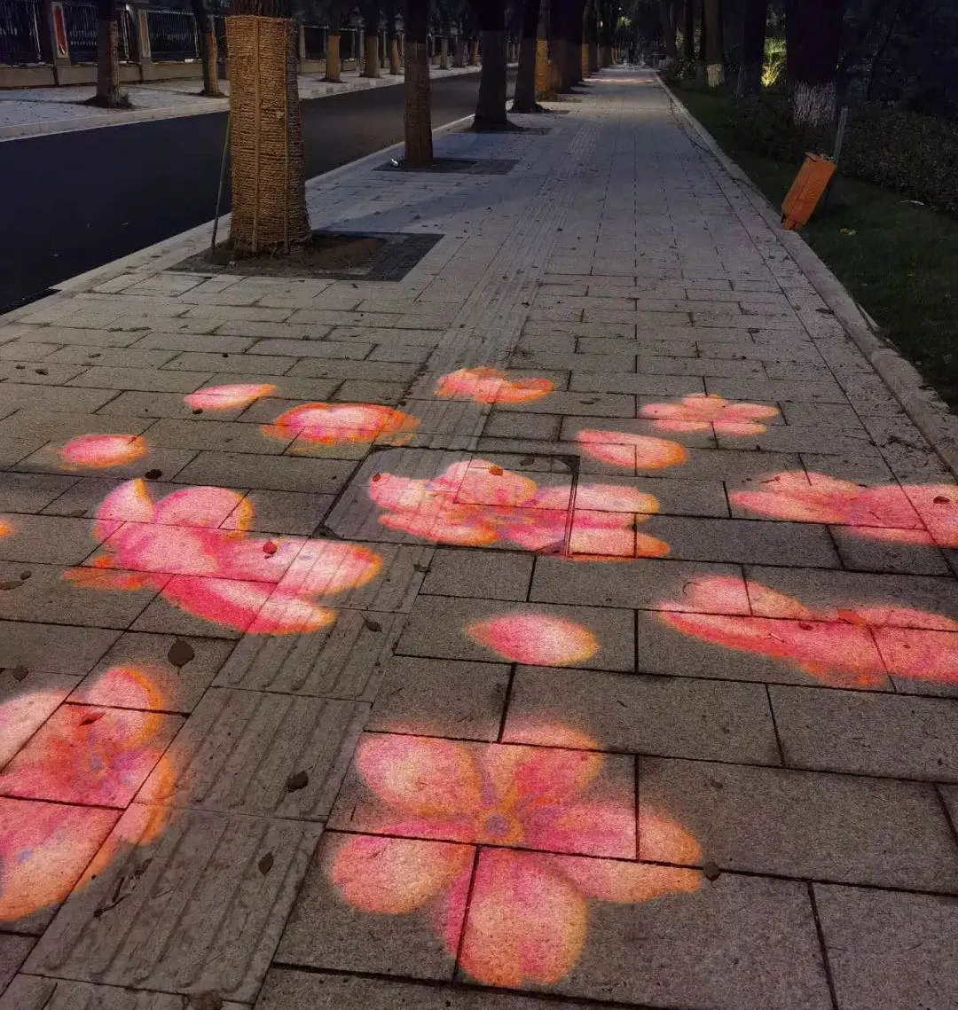 从A到Z!细数常州人对生活的热爱