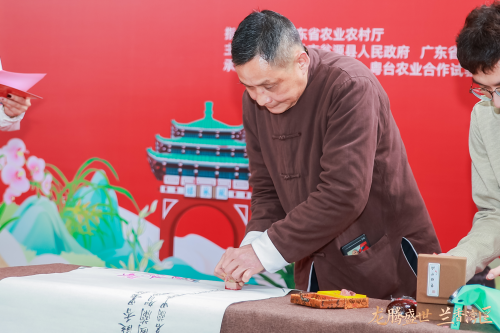 龙腾盛世,兰香湾区!翁源兰花香飘广州水上花市