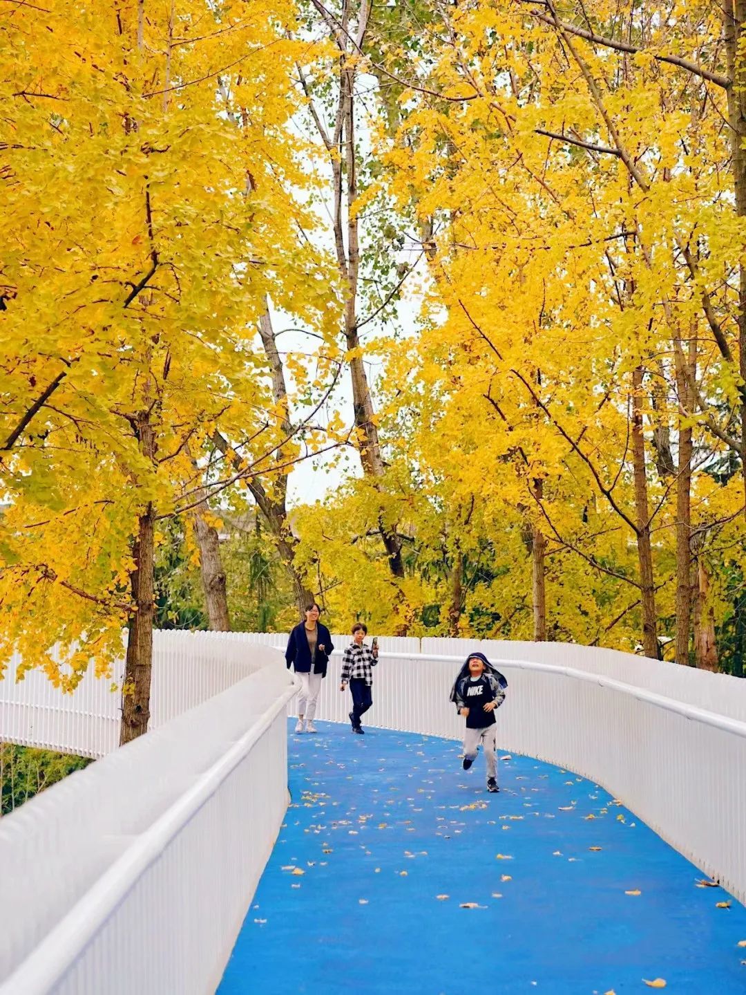 从A到Z!细数常州人对生活的热爱