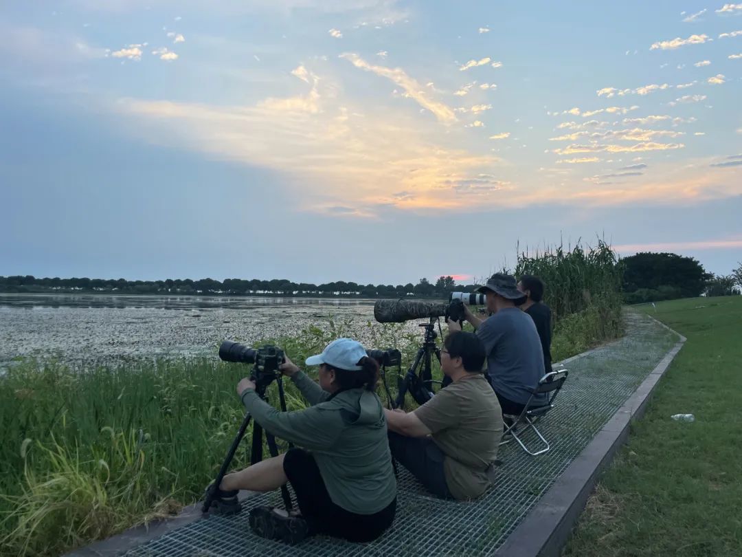 从A到Z!细数常州人对生活的热爱