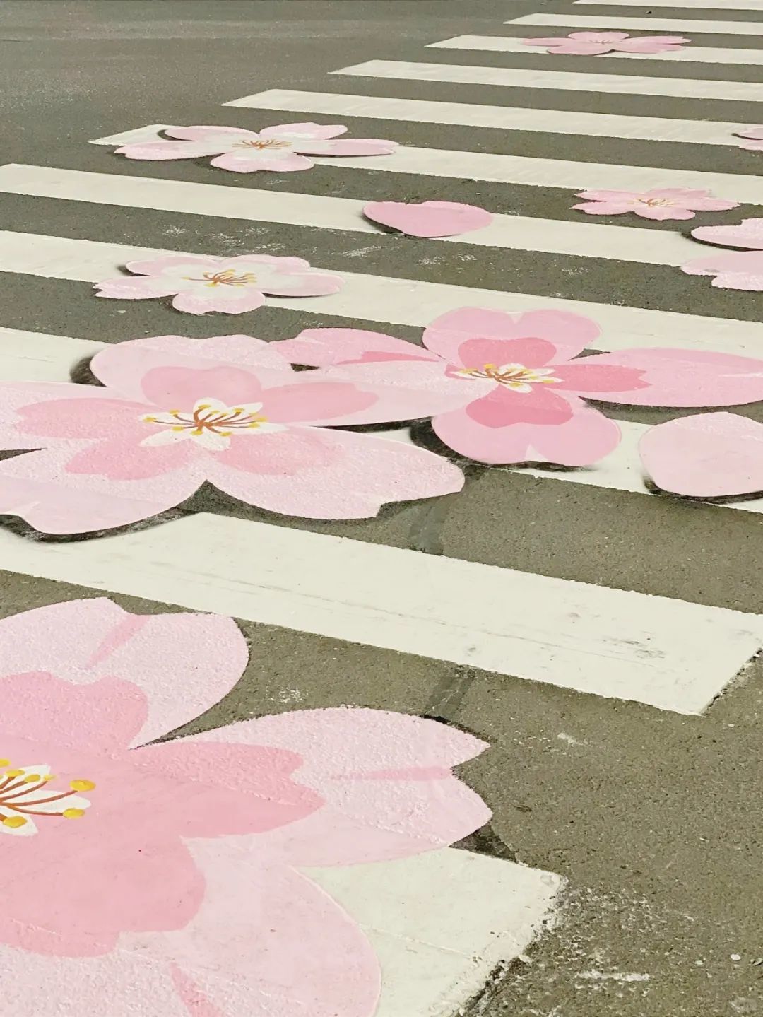 从A到Z!细数常州人对生活的热爱