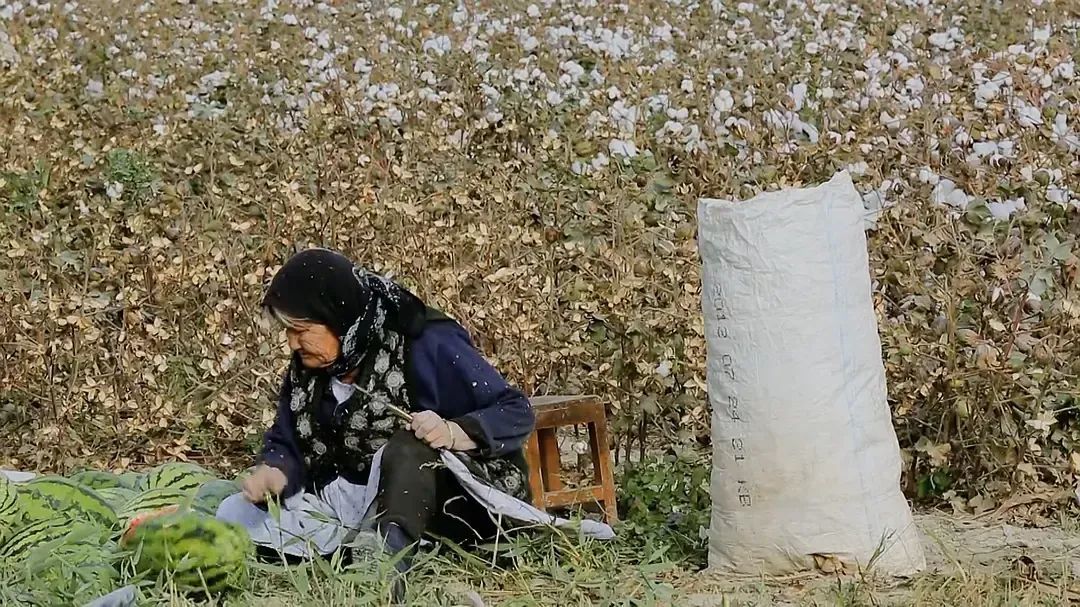 库尔马罕的儿媳妇是我们这一带最最出众的两三个漂亮女人之一。