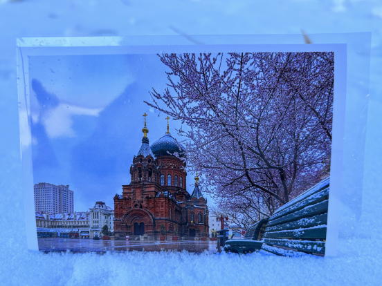 早知春有信 “尔滨”再邀约——“这份来自‘尔滨’的礼物”再上“热榜”再成“顶流”