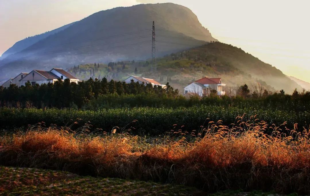 伏龙山位于慈溪东部,史料记载:"一名箬山,其山跨东海,西海之门,宛若