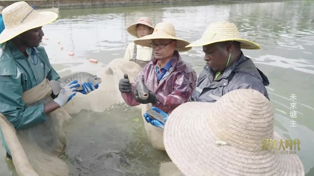 外国小哥在中国学养殖：父亲期望我成为医学专家，但我想成为成功的鱼塘主