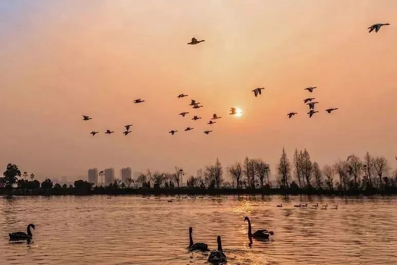 春节游南昌推荐榜单出炉 南昌邀您来过年