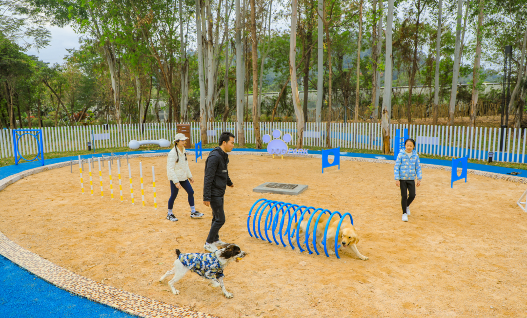 深圳宠物公园图片