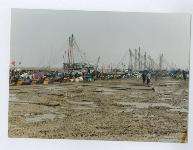 陆海联动，一村一品！江苏东台市弶港镇“百花齐放”迎新春