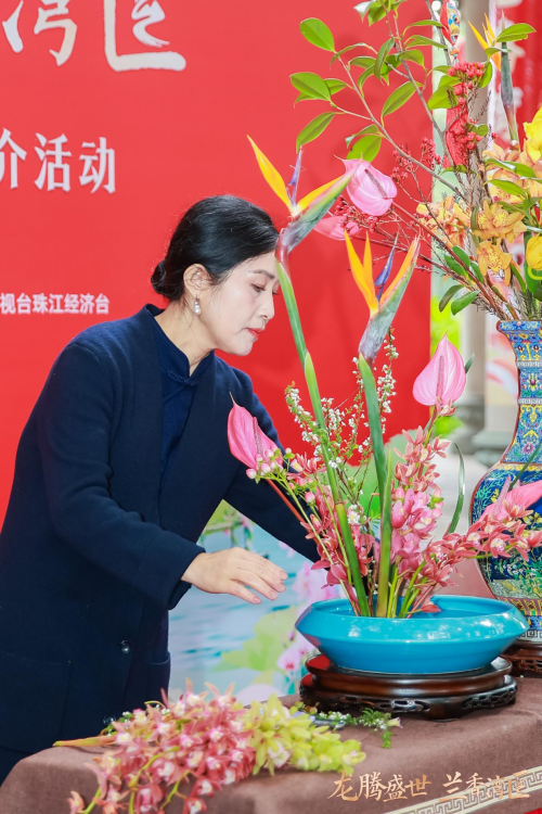 龙腾盛世,兰香湾区!翁源兰花香飘广州水上花市