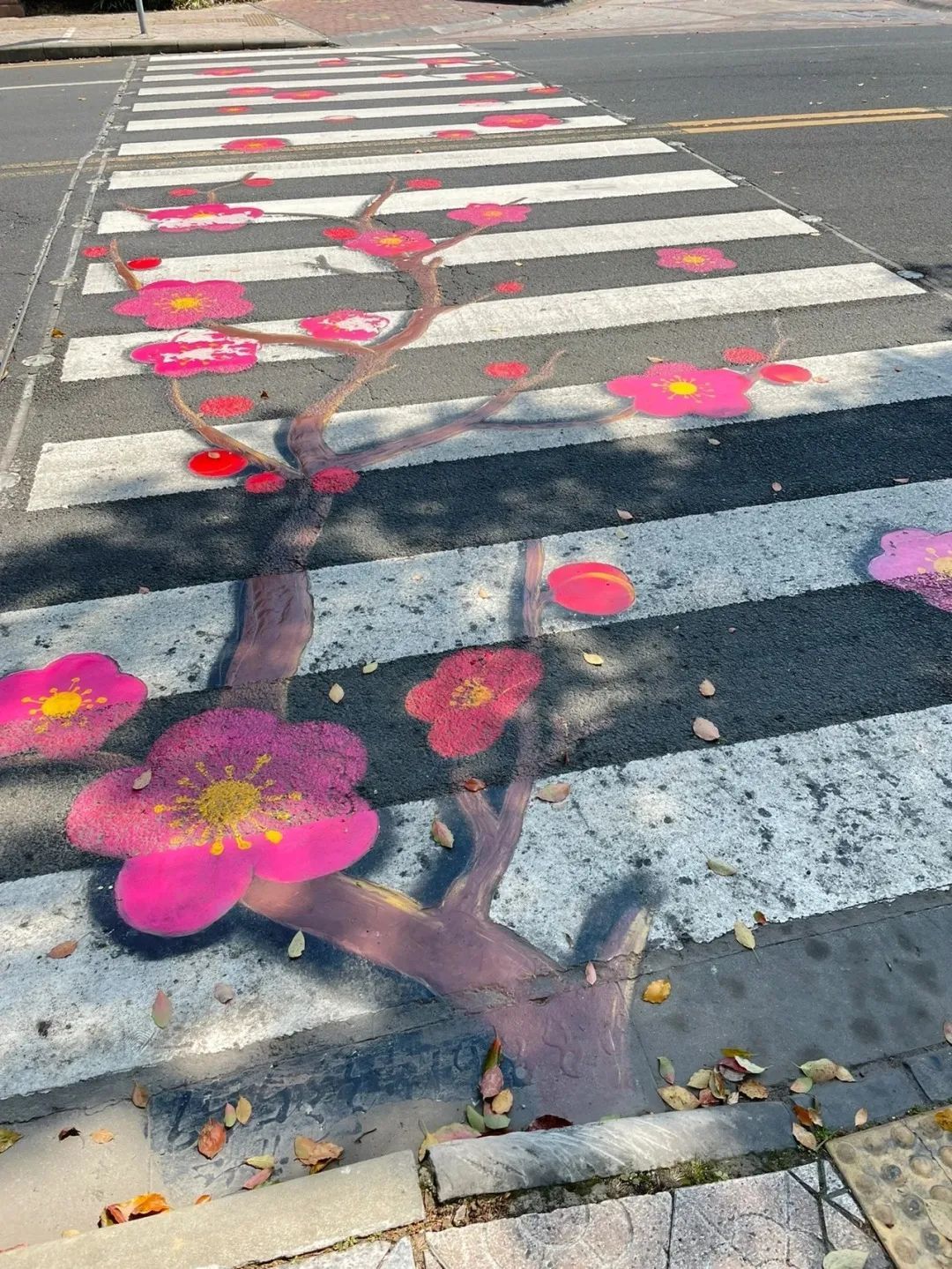 从A到Z!细数常州人对生活的热爱