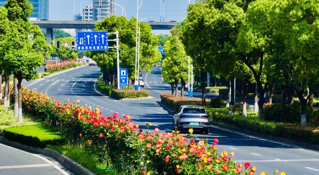 从A到Z!细数常州人对生活的热爱