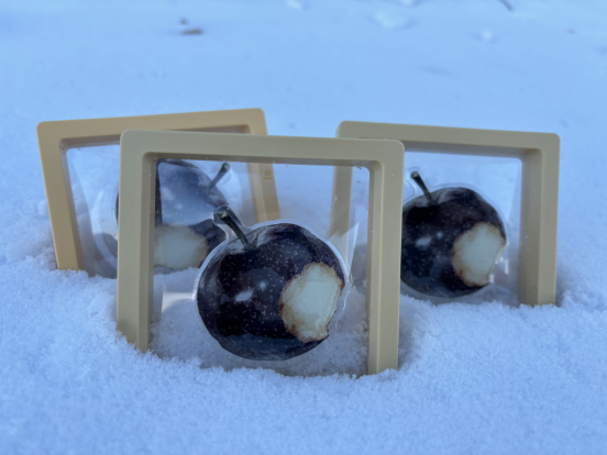 早知春有信 “尔滨”再邀约——“这份来自‘尔滨’的礼物”再上“热榜”再成“顶流”