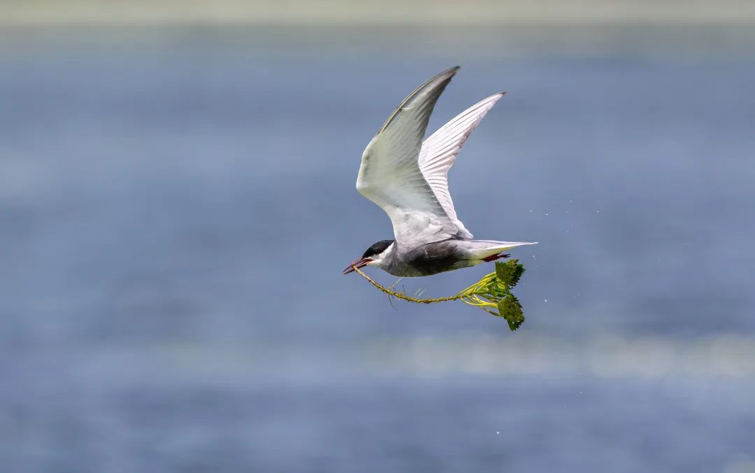 从A到Z!细数常州人对生活的热爱