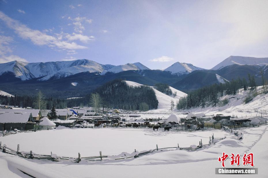 新疆白哈巴景区:绝美冬景宛如童话世界