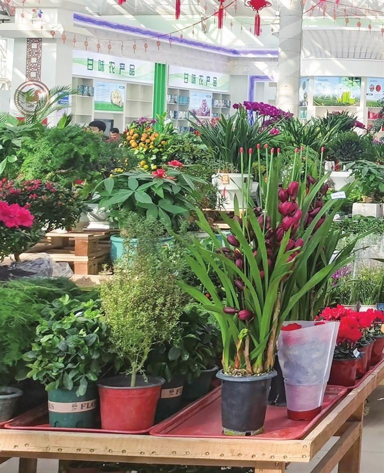 新区花卉交易中心场馆里的鲜花争奇斗艳　记者　祁瑞龙　摄