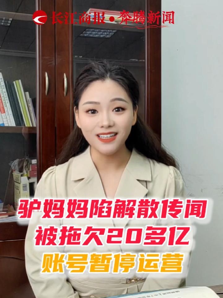 驴妈妈陷解散传闻，被拖欠20多亿，账号暂停运营。#驴妈妈