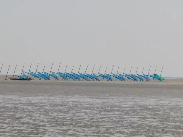 陆海联动，一村一品！江苏东台市弶港镇“百花齐放”迎新春