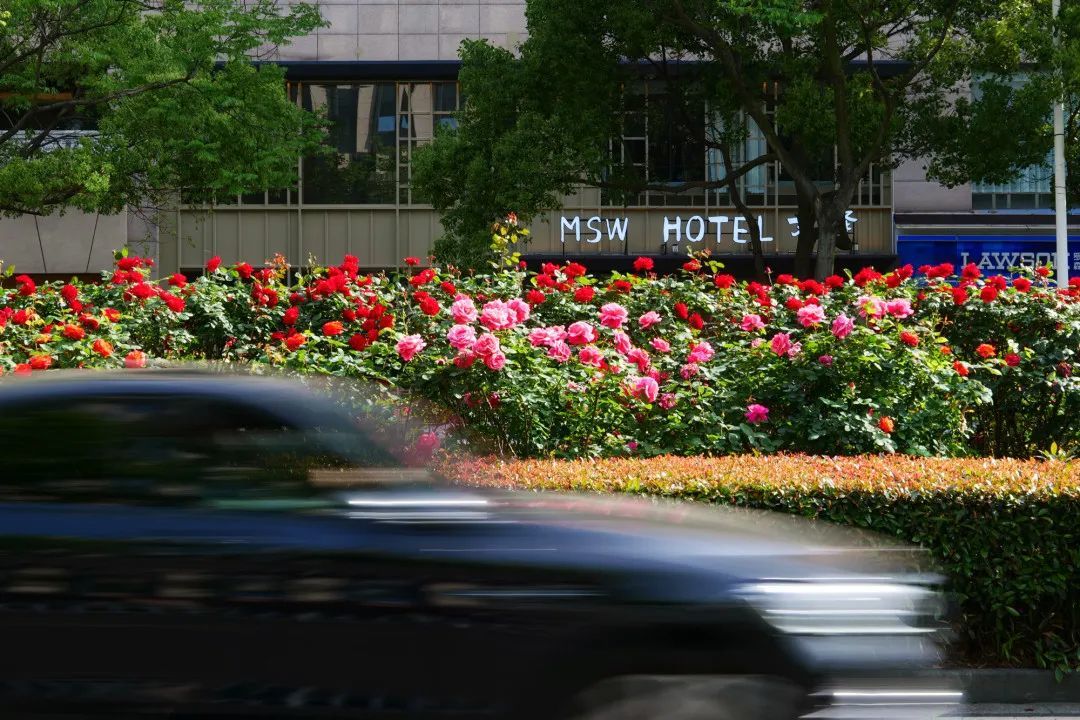 从A到Z!细数常州人对生活的热爱