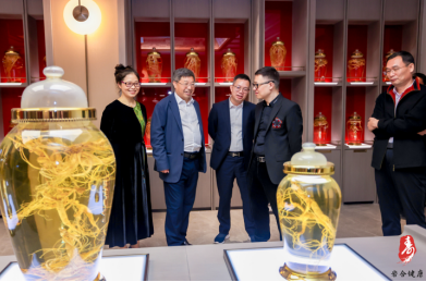 长白山野山参借横琴开拓粤港澳大湾区市场