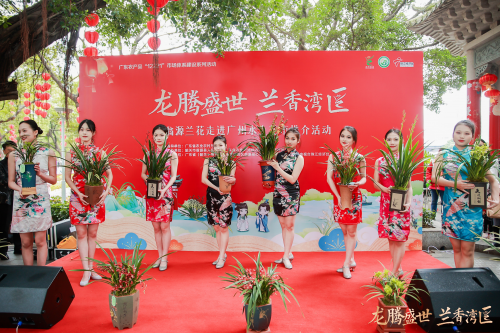 龙腾盛世,兰香湾区!翁源兰花香飘广州水上花市