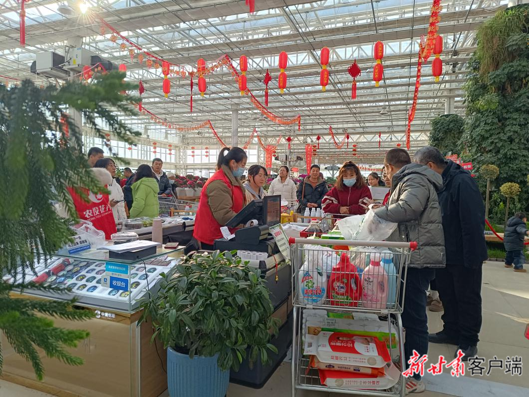 市民在兰州新区农投花卉交易中心选购心仪的年宵花