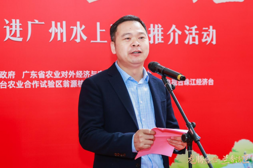 龙腾盛世,兰香湾区!翁源兰花香飘广州水上花市