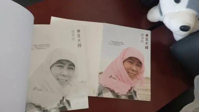 裴爱民的书《田鼠大婶的日记》受访者供图