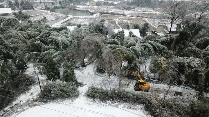 2月5日，挖掘机在湖南省临湘市坦渡镇清理路面积雪与倒伏树枝。新华社记者陈振海摄