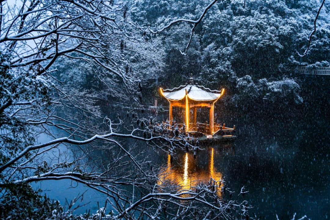 宁波>社会热点>正文> 虽至冬日,宁海森林温泉景区仍然青山碧水,草木