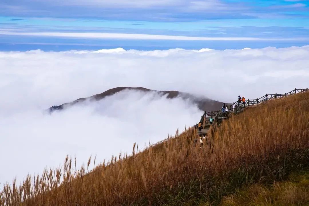 春节假期江西“热辣滚烫” 各大景区人气火爆