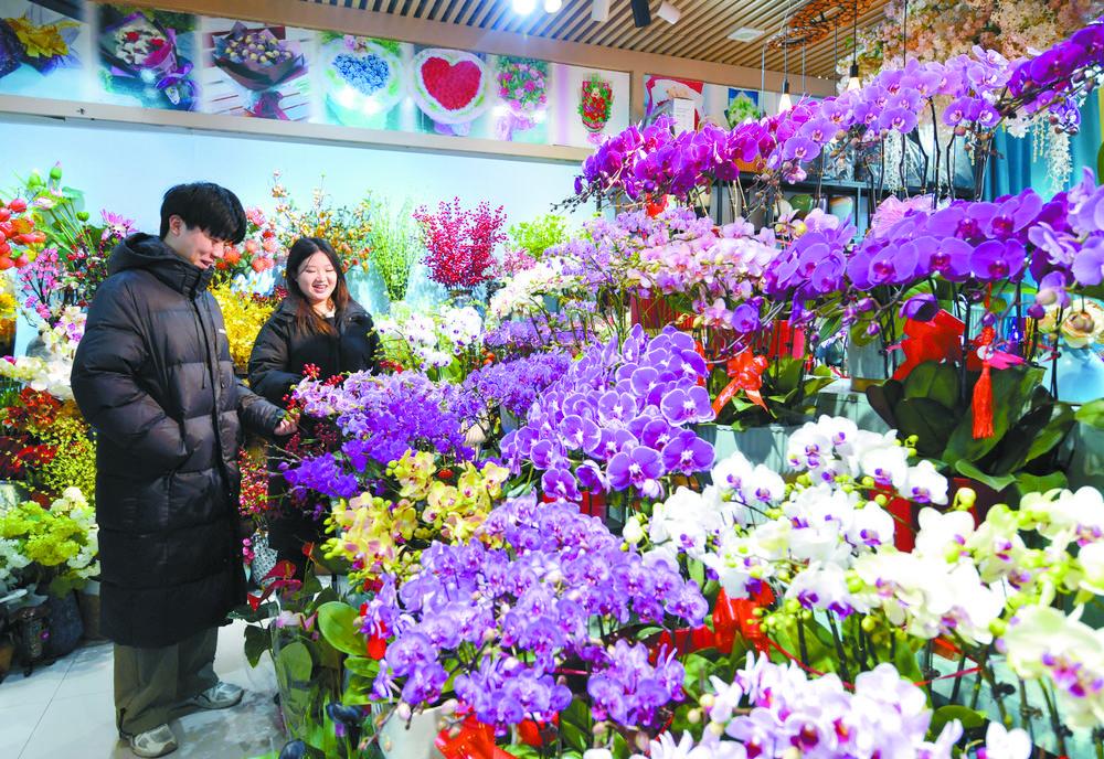 花卉市场里,各种迎新花卉盛开，充满了浓浓的喜庆气氛。